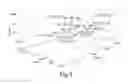 Fig. 08 - Scaffolds comprising nanoelectronic components for cells, tissues, and other applications
