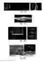 Fig. 28 - Scaffolds comprising nanoelectronic components for cells, tissues, and other applications