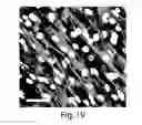Fig. 32 - Scaffolds comprising nanoelectronic components for cells, tissues, and other applications