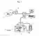 Fig. 02 - SKIN PRINTING AND AUTO-GRAFTING