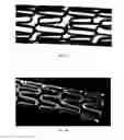 Fig. 07 - Crystalline coating and release of bioactive agents