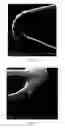 Fig. 32 - Crystalline coating and release of bioactive agents