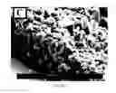 Fig. 45 - Crystalline coating and release of bioactive agents