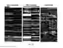 Fig. 48 - Crystalline coating and release of bioactive agents
