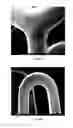 Fig. 76 - Crystalline coating and release of bioactive agents