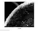 Fig. 77 - Crystalline coating and release of bioactive agents