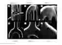 Fig. 80 - Crystalline coating and release of bioactive agents