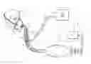 Fig. 01 - Respiratory face mask and breathing circuit assembly