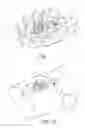Fig. 02 - GRAPHIC FOR MEDICAL ARTICLE SECUREMENT SYSTEMS AND METHODS OF USING SAME