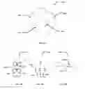 Fig. 16 - INFLATABLE TRANSLUMENAL SHUNTS AND METHODS AND DEVICES FOR DELIVERY
