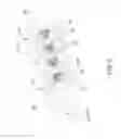 Fig. 06 - Diffusion bonded lead connector