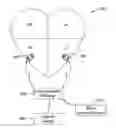 Fig. 01 - Arrhythmia detection and confirmation