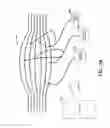 Fig. 03 - Materials and approaches for optical stimulation of the peripheral nervous system