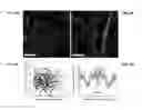 Fig. 10 - Materials and approaches for optical stimulation of the peripheral nervous system