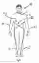 Fig. 05 - Garment