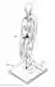 Fig. 01 - Standing step trainer