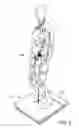 Fig. 06 - Standing step trainer