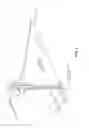 Fig. 10 - Putter