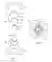 Fig. 10 - Golf grip