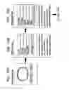 Fig. 58 - Wearable device assembly having athletic functionality