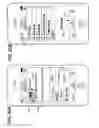 Fig. 74 - Wearable device assembly having athletic functionality