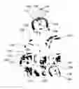 Fig. 01 - METHOD FOR MAKING THE THREE-DIMENSIONAL PAPER MODEL AND PAPER MODEL OBTAINED THROUGH SAME METHOD