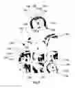Fig. 06 - METHOD FOR MAKING THE THREE-DIMENSIONAL PAPER MODEL AND PAPER MODEL OBTAINED THROUGH SAME METHOD