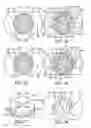 Fig. 08 - Filter cartridge for translational insertion and rotational engagement of a manifold