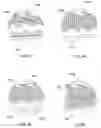 Fig. 33 - Tunable nanofiber filter media and filter devices