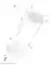 Fig. 02 - HONEYCOMB FILTER