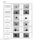 Fig. 04 - Selective surface impregnation method for catalytically active materials on particulate catalyst support using mutual repulsive force and solubility difference between hydrophilic solvent and hydrophobic solvent
