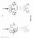 Fig. 03 - Synthesis of acyclic and cyclic amines using iron-catalyzed nitrene group transfer