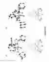 Fig. 07 - Synthesis of acyclic and cyclic amines using iron-catalyzed nitrene group transfer