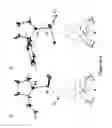 Fig. 08 - Synthesis of acyclic and cyclic amines using iron-catalyzed nitrene group transfer