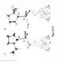 Fig. 09 - Synthesis of acyclic and cyclic amines using iron-catalyzed nitrene group transfer