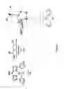Fig. 10 - Synthesis of acyclic and cyclic amines using iron-catalyzed nitrene group transfer