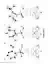 Fig. 11 - Synthesis of acyclic and cyclic amines using iron-catalyzed nitrene group transfer