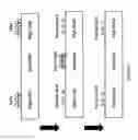 Fig. 06 - Nucleic acid sample preparation