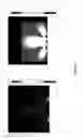 Fig. 08 - Nucleic acid sample preparation