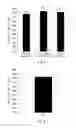 Fig. 07 - Method for isolating or detecting rare cell