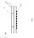 Fig. 04 - PC board fluidic devices