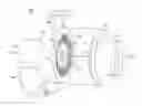 Fig. 01 - Cyclonic shear plates and method