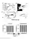 Fig. 06 - Devices and methods for separating particles