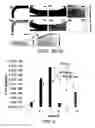 Fig. 07 - Devices and methods for separating particles