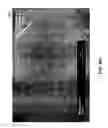 Fig. 64 - Methods for arranging nanoscopic elements within networks, fabrics and films