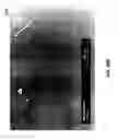 Fig. 65 - Methods for arranging nanoscopic elements within networks, fabrics and films