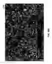 Fig. 67 - Methods for arranging nanoscopic elements within networks, fabrics and films