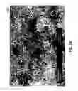 Fig. 82 - Methods for arranging nanoscopic elements within networks, fabrics and films
