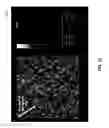 Fig. 89 - Methods for arranging nanoscopic elements within networks, fabrics and films