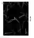 Fig. 91 - Methods for arranging nanoscopic elements within networks, fabrics and films